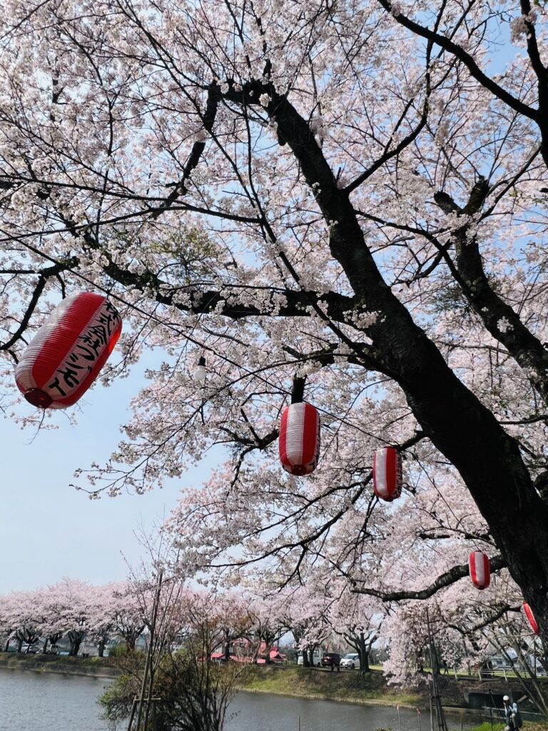 桜まつり