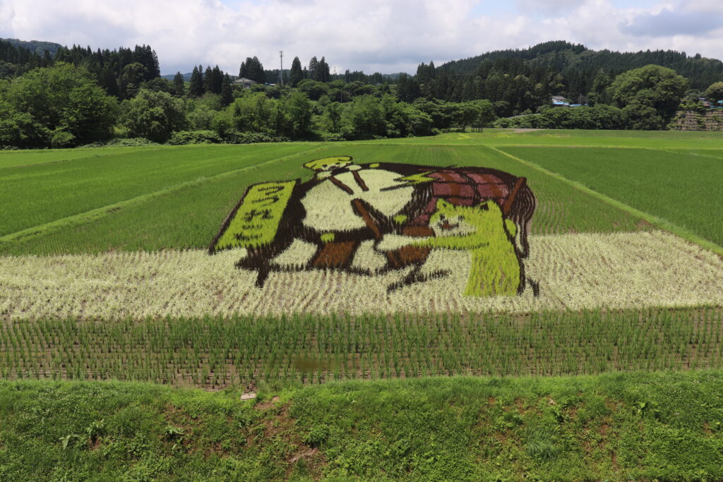 秋田内陸線　田んぼアート