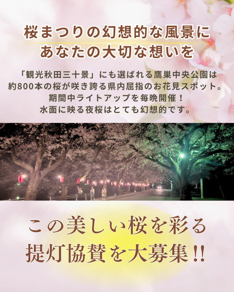 桜まつり 新規提灯協賛募集中！