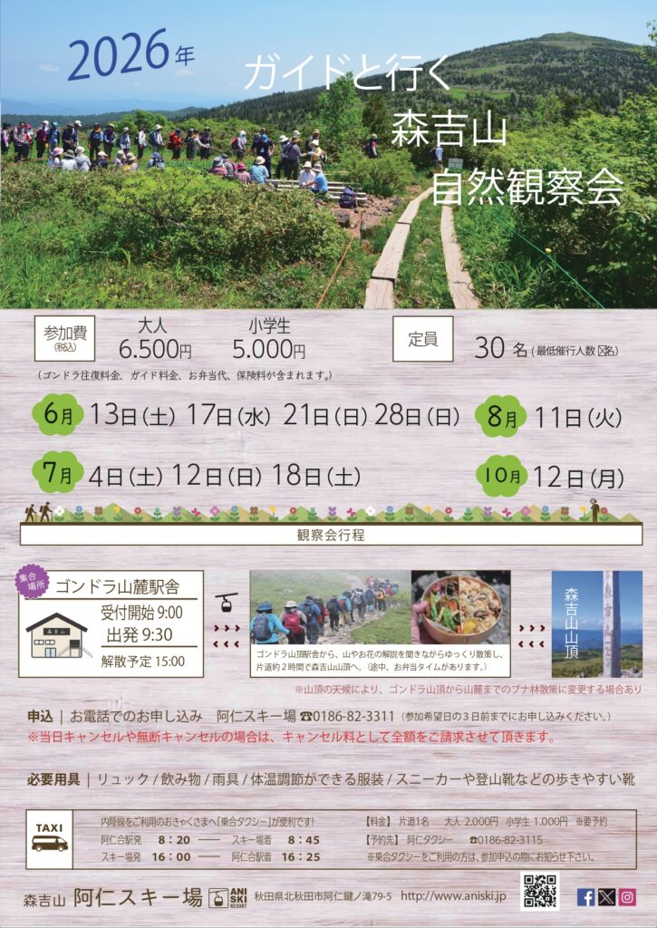 森吉山の自然観察会が開かれます