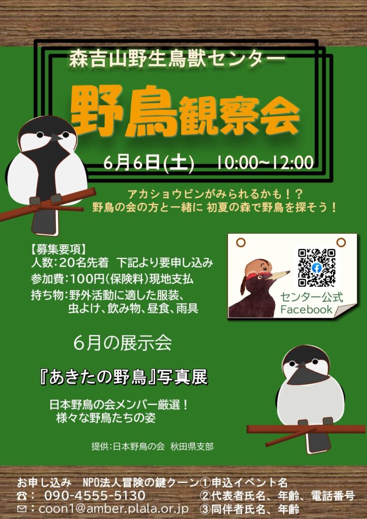 森吉山野生鳥獣センターで野鳥観察会が開催されます！